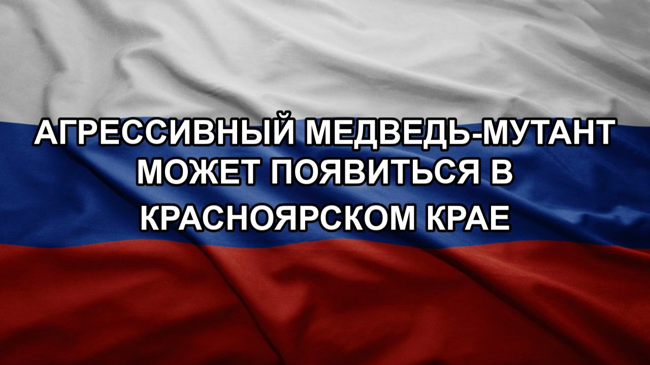 Агрессивный медведь-мутант может появиться в Красноярском крае