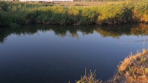 Отметили свой юбилей на рыбалке