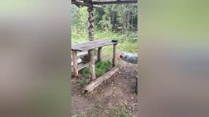 Доехали до реки» Луга»🌊🌊