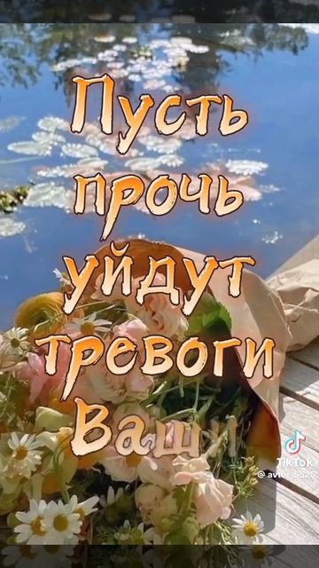 с добрым утром!
