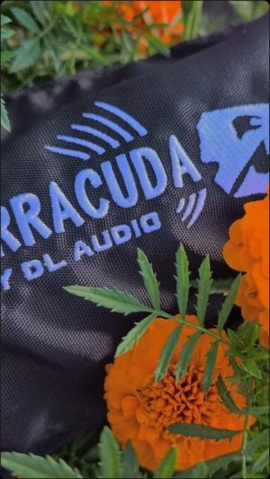 Колонка беспроводная Barracuda Portable Speaker