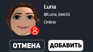 НЕ ПРИНИМАЙТЕ ЭТОТ ЗАПРОС В ДРУЗЬЯ Roblox (серьезно)