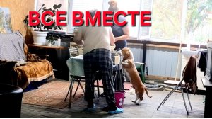 1409 Все в месте.Ничего Прорвёмся. Это не на долго.