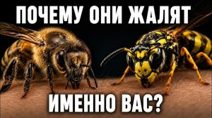 Кого осы и пчелы жалят чаще всего?