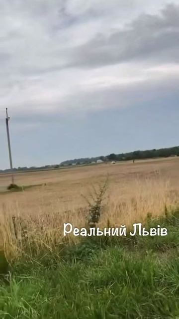 В полях львовщины.