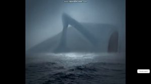 Звуки Пожирателя морей