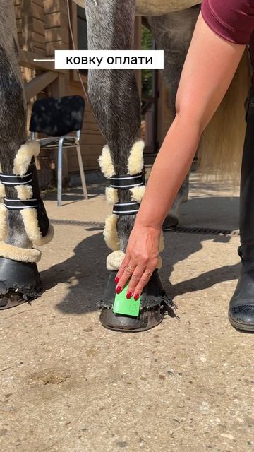 Современные проблемы требуют современных решений🐴