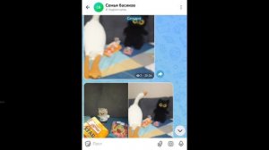 мой max канал