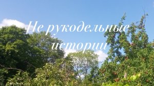 Не рукодельные истории//Потрындим😁