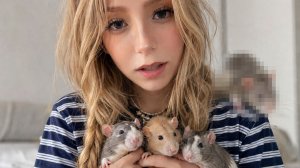 🐹 ЦЕЛАЯ ОПЕРАЦИЯ! ЕДЕМ ЗА НОВЫМИ ПИТОМЦАМИ!