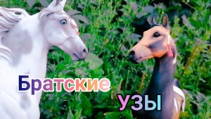Сериал Breyer. Братские узы. Серия 5.