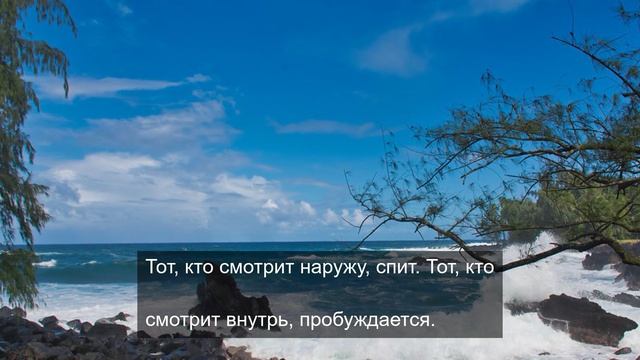 Большой брать 1984 дает силу 7