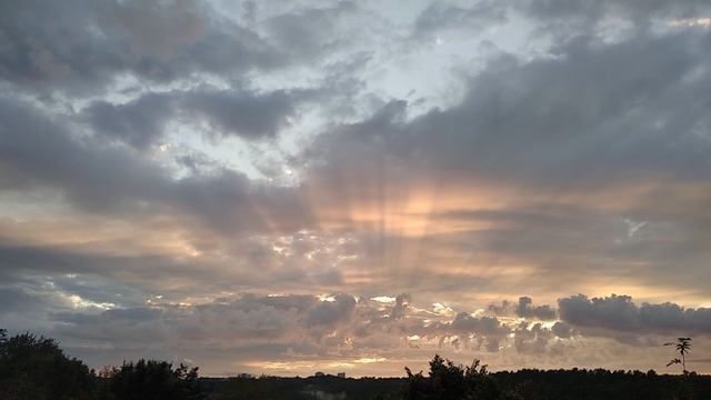 VID_20260809_191822.mp4