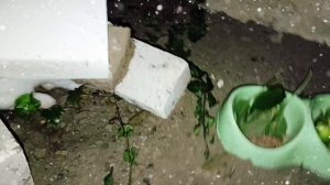 Бедная Бусинка 😓 VS Богатый 🤑Карамельки
