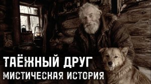 Таежный друг. Страшные истории на ночь. Мистика. Страшилки на ночь.