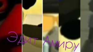 Эдит Амиру