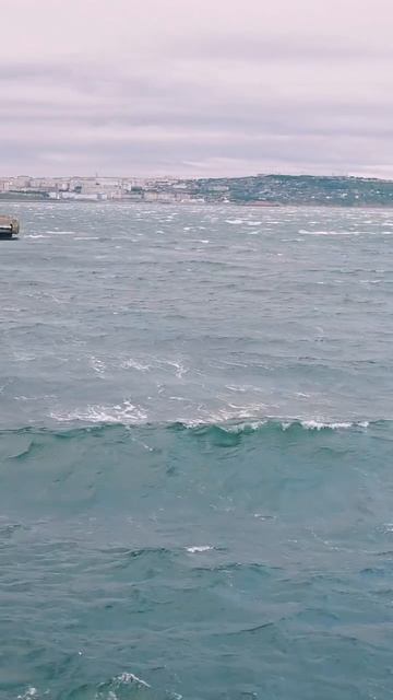 Стихия в день Охотского моря! 🌊💙