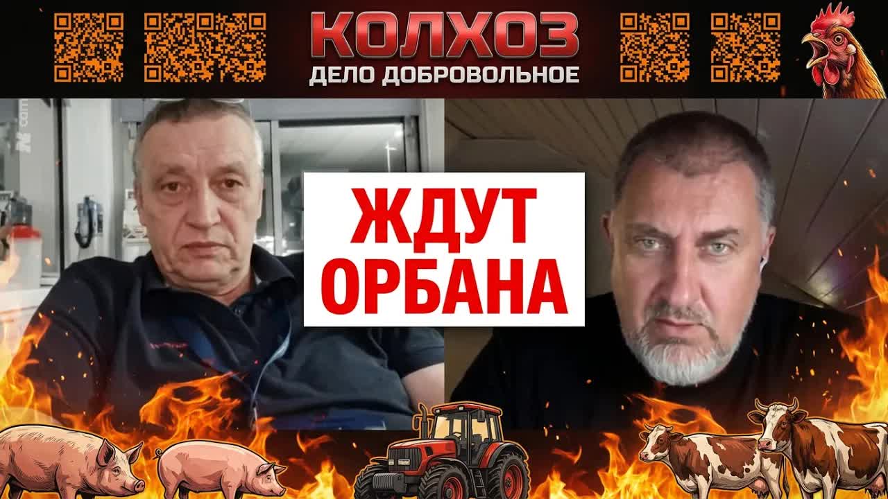 «Молодёжь начинает прозревать»Почему венгры ждут возвращения Орбана