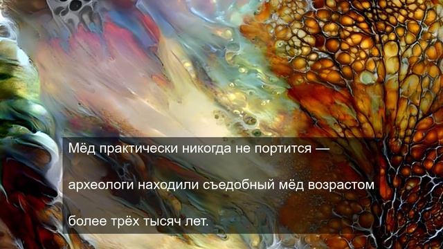 Жизненный путь тяжелого цветка 18