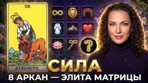 ❗8, 26 или август? 🗝️ Разбор энергии и символизма твоей даты рождения #архетипы #тарообучение