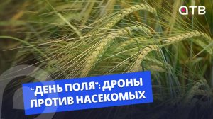 Дроны против насекомых, и как дешево вспахать поле | Репортаж с «Дня Поля-2026»