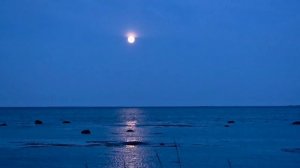 Лунная августовская ночь на Белом море.