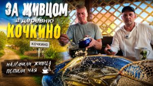За ЖИВЦОМ в деревню! Наловили рыбки и посидели за чаем