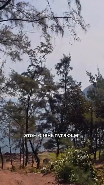 Переезд во Вьетнам
