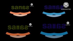 santeri logo effects