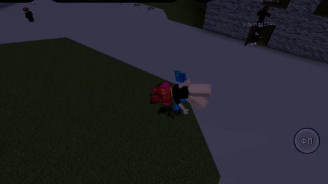 Эдит по рэгдоллу