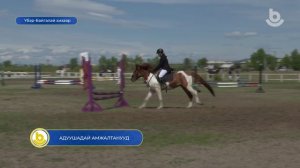 Адуушадай амжалтанууд