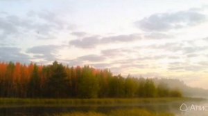 Мезенская стынь.