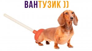 ВАНТУЗик)) Приколы