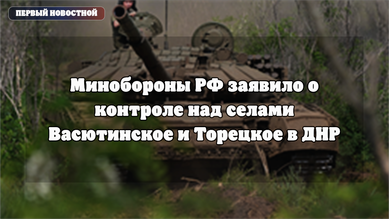 Минобороны РФ заявило о контроле над селами Васютинское и Торецкое в ДНР