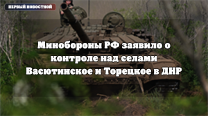 Минобороны РФ заявило о контроле над селами Васютинское и Торецкое в ДНР
