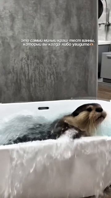 Тест драйв