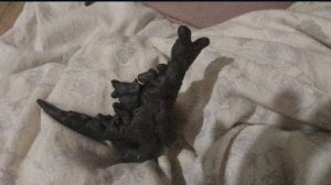 Участвую в конкурсе от Dino Animatodes