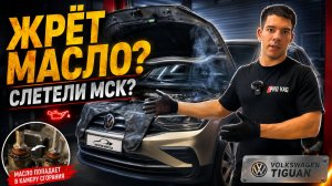 Масложор VAG: когда виноваты не кольца, а маслосъёмные колпачки