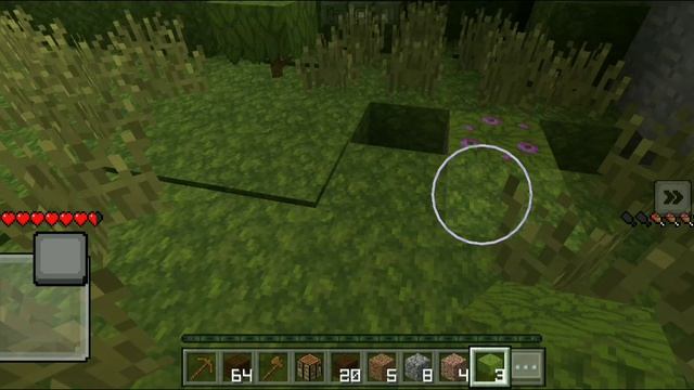 играю в Minecraft