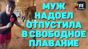 Муж надоел, оипустила в свободное плавание /Деревенский дневник очень многодетной мамы Обзор