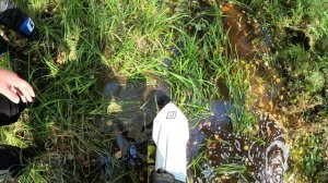 Северка, Чертово городище, Скалы Петра Гронского ч.4