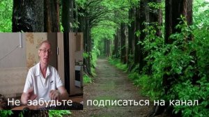 Комедия #Ребро адама#1949