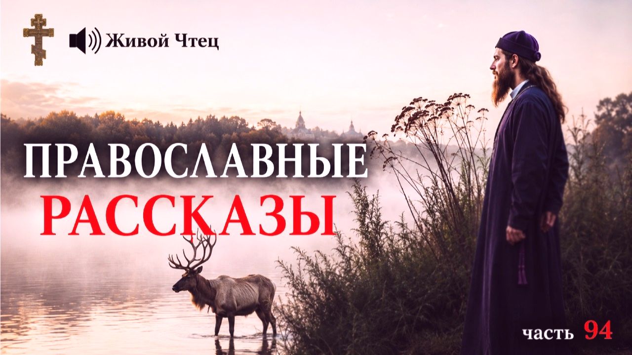 СВЕКРОВЬ ПОШЛА К ГАДАЛКЕ ЧТО БЫ ИЗВЕСТИ НЕВЕСТКУ, НО... ЛУЧШИЕ ПРАВОСЛАВНЫЕ РАССКАЗЫ часть 94