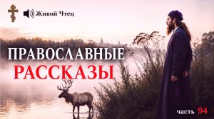 СВЕКРОВЬ ПОШЛА К ГАДАЛКЕ ЧТО БЫ ИЗВЕСТИ НЕВЕСТКУ, НО... ЛУЧШИЕ ПРАВОСЛАВНЫЕ РАССКАЗЫ часть 94