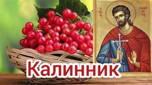 Калинов день. Калинник. Самая лучшая музыкальная открытка.