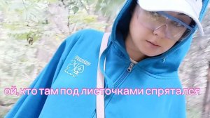 Лес манит, плутает, грибами угощает. Снова за грибами.