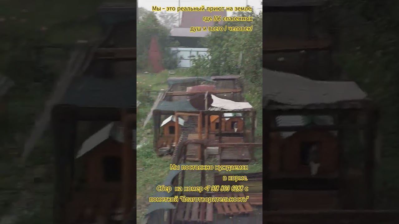 Опять дождь и нас заливает...