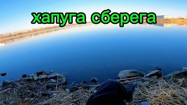 Клюёт на хапугу как из автомата не могу поймать #рыбалка