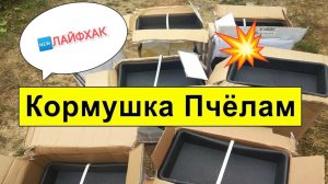 Кормушка для пчел