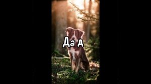 НАЙДЁТСЯ 3 ЩЕНОЧКА?